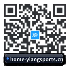 iPad 高清版 二维码 | YION